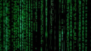 caller data lookup request