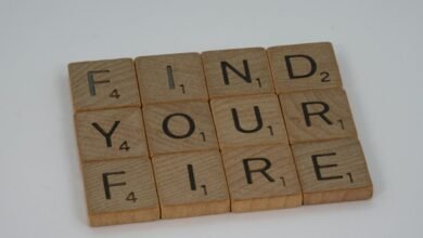 dataset findings summary report