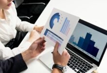 dataset ids comprehensive report