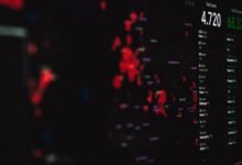 phone numbers and identification