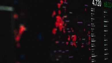 phone numbers and identification