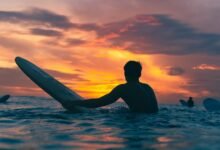 activity and metrics assessment