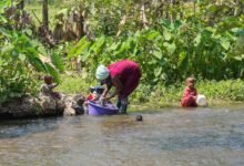 interaction and activity overview