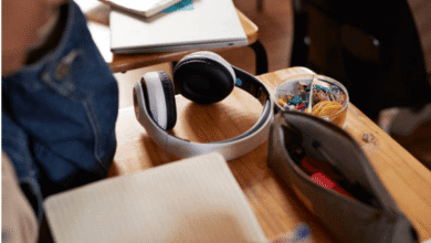 Class 11 Music Revision On the Go: Why Audio Songs Are Perfect for Busy Students