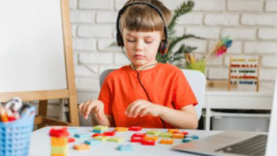 Toy Industry Leadership in Advancing Child Development Through Play