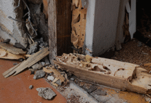 Hidden Areas in Homes Where Termites Commonly Go Undetected for Years