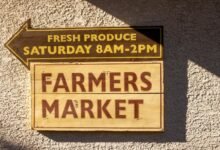 market engine marketing guide title