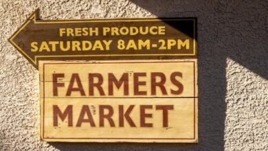 market engine marketing guide title