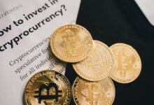 online maximizer growth guide