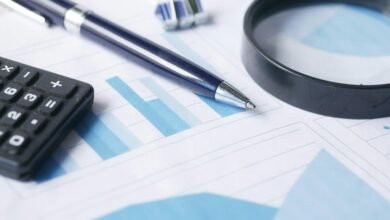 final data audit details identified