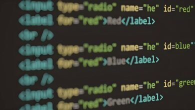 patterned data identifiers with version like tokens