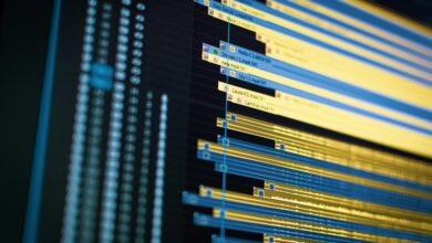 usage and product query audit details