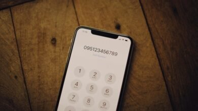 user record numbers chamster18 and three 10 digit ids